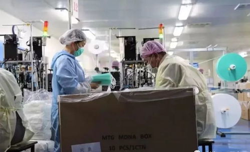 服裝廠一夜變身口罩廠 政府補貼百萬，紡織業轉型加速